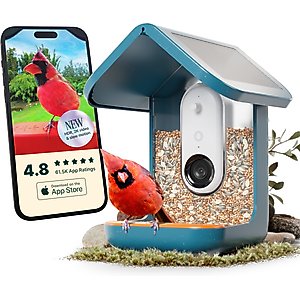Bird Buddy PRO Solar Smart Bird Feeder, Blue