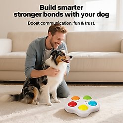 allforpaws Interactive Pet Brain Trainning Buttons Dog Toy slide 2 of 7