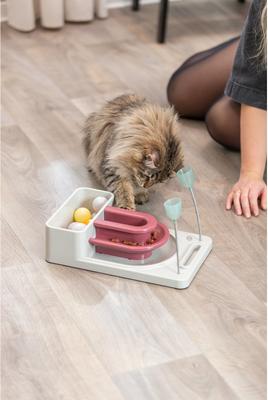 Show full view: TRIXIE Fantasy Board Interactive Cat Toy slide 3 of 11