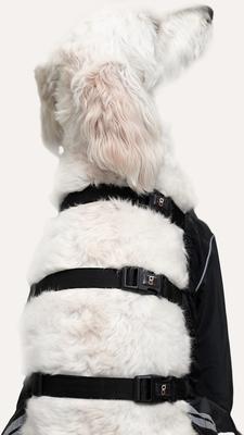 Show full view: GOO-EEZ Splash Dog Rain Pants, Black, Large slide 3 of 6