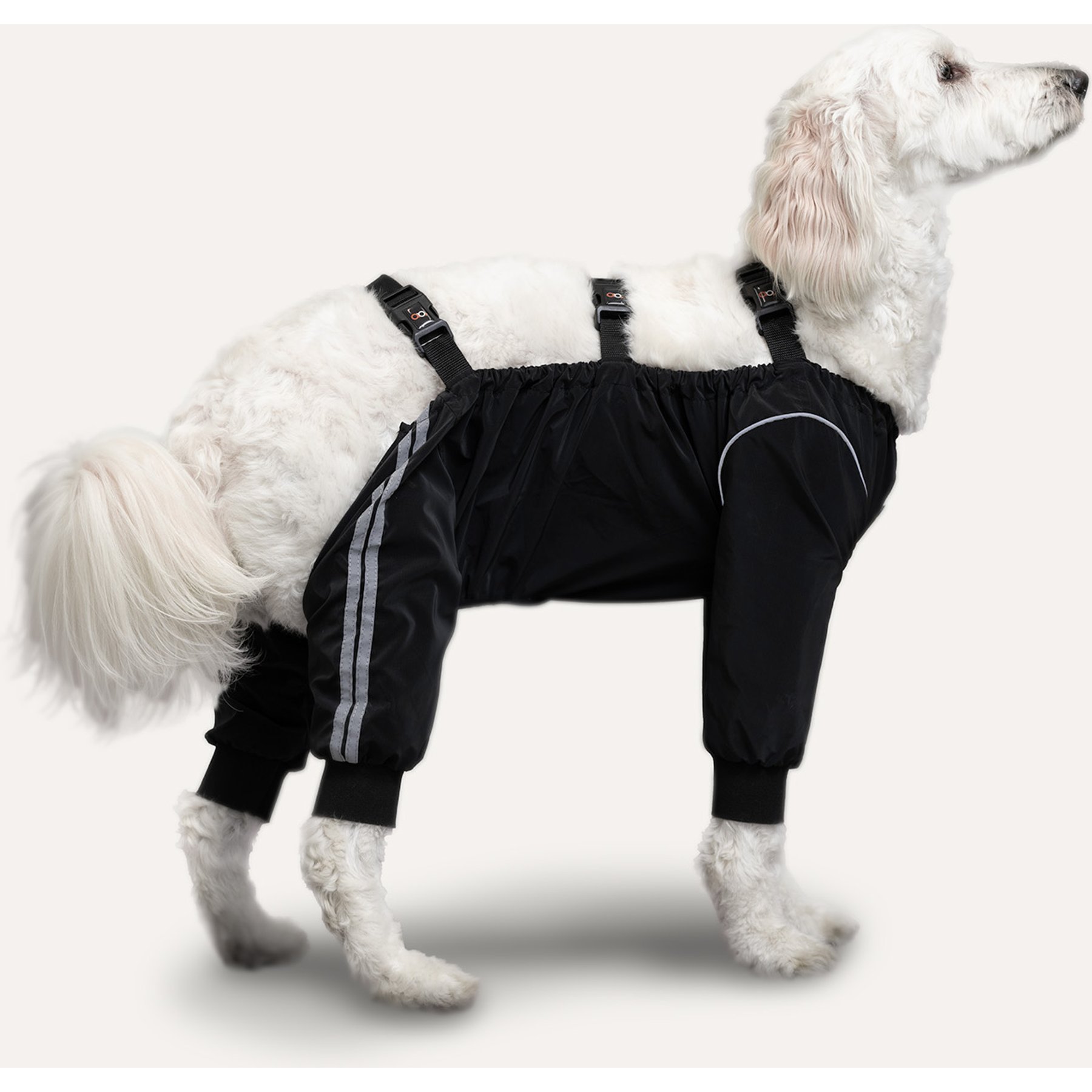 GOO-EEZ Splash Dog Rain Pants, Black, X-Large