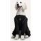 Show in main carousel: GOO-EEZ Splash Dog Rain Pants, Black, Large slide 2 of 6