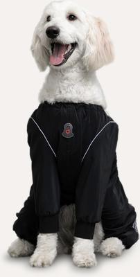 Show full view: GOO-EEZ Splash Dog Rain Pants, Black, Large slide 2 of 6