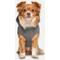 Show in main carousel: GOO-EEZ Hooded Full Body Dog Snowsuit with Removable Pants, Light Grey/Grey, Medium slide 4 of 5
