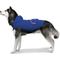 Show in main carousel: GOO-EEZ Hooded Packable Poncho Dog Raincoat, Navy/Pink, Large slide 3 of 4