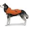 Show in main carousel: GOO-EEZ Hooded Packable Poncho Dog Raincoat, Orange/Charcoal, X-Small slide 3 of 4
