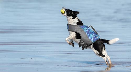 Show full view: GOO-EEZ Dog Life Vest, Blue Leaf Print, X-Large slide 5 of 5