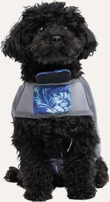 Show full view: GOO-EEZ Dog Life Vest, Blue Leaf Print, X-Large slide 2 of 5