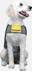 GOO-EEZ Dog Life Vest, Lemon, X-Small slide 2 of 6