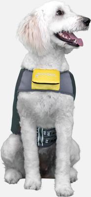 Show full view: GOO-EEZ Dog Life Vest, Lemon, Small slide 6 of 6