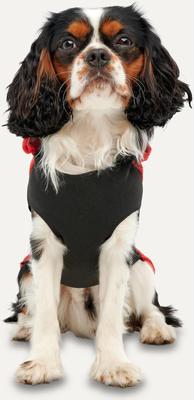 Show full view: GOO-EEZ Kangaroo Fleece Dog Hoodie, Red, Large slide 4 of 4