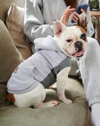 GOO-EEZ Kangaroo Fleece Dog Hoodie, Heather Grey, Small slide 2 of 5