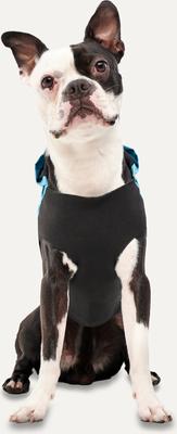 Show full view: GOO-EEZ Reflective Hooded Dog Raincoat, Baby Blue, Small slide 4 of 4