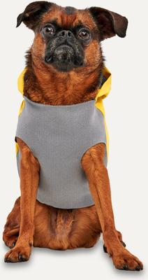 Show full view: GOO-EEZ Reflective Hooded Dog Raincoat, Yellow, XX-Small slide 2 of 4