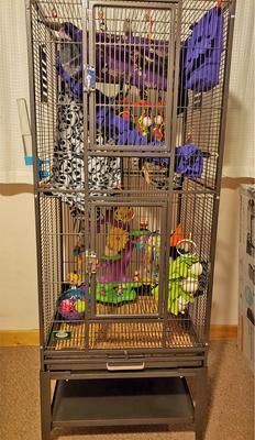 Show full view: Exotic Nutrition Madagascar Sugar Glider Cage, Black slide 9 of 9