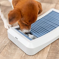 TRIXIE Rod Board Level 1 Strategy Game, Enrichment & Interactive Play, Treat Beginner Dog Puzzle Toy, Blue slide 2 of 8