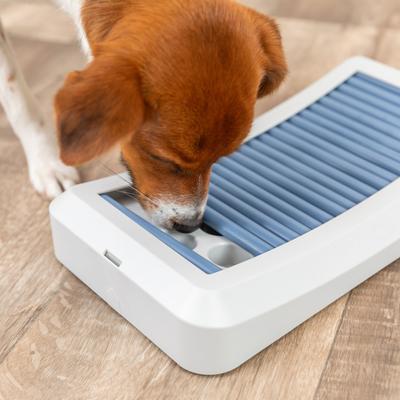 Show full view: TRIXIE Rod Board Level 1 Strategy Game, Enrichment & Interactive Play, Treat Beginner Dog Puzzle Toy, Blue slide 4 of 8