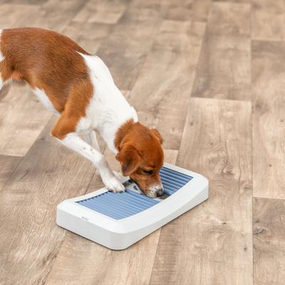 Show full view: TRIXIE Rod Board Level 1 Strategy Game, Enrichment & Interactive Play, Treat Beginner Dog Puzzle Toy, Blue slide 5 of 8