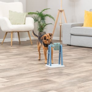 TRIXIE Mad Scientist Turn Around Activity Strategy Game Dog Toy, Level 2