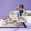 Show in main carousel: Lesure High-Back Orthopedic Dog Sofa Bed, Blue, L Plus slide 3 of 10