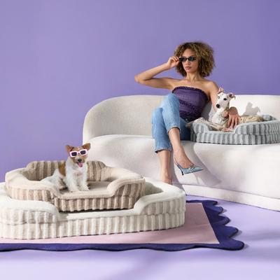 Show full view: Lesure High-Back Orthopedic Dog Sofa Bed, Blue, X-Large slide 2 of 10