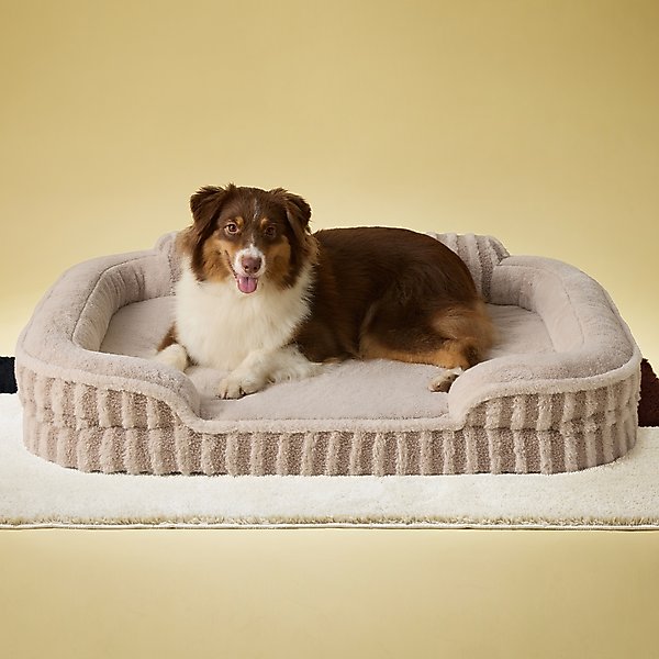 Show full view: Lesure High-Back Orthopedic Dog Sofa Bed, Camel, L Plus slide 2 of 10