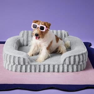 Lesure High-Back Orthopedic Dog & Cat Sofa Bed, Grey, Small