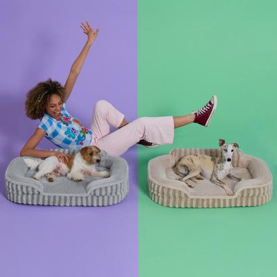 Show full view: Lesure High-Back Orthopedic Dog Sofa Bed, Beige, Medium slide 3 of 11