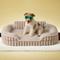 Show in main carousel: Lesure High-Back Orthopedic Dog Sofa Bed, Camel, Medium slide 3 of 11