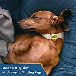 GoTags Cotton Hemp Personalized with Custom Engraved Nameplate Dog Collar, Gray, Medium: 14.5 to 20.5-in, 1-in wide slide 2 of 7