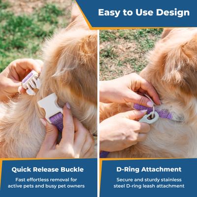 Show full view: GoTags Cotton Hemp Personalized with Custom Engraved Nameplate Dog Collar, Light Pink, Medium: 14.5 to 20.5-in, 1-in wide slide 6 of 9