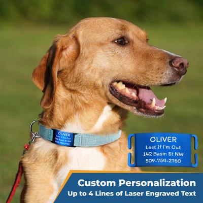 Show full view: GoTags Cotton Hemp Personalized with Custom Engraved Nameplate Dog Collar, Light Pink, Medium: 14.5 to 20.5-in, 1-in wide slide 3 of 9