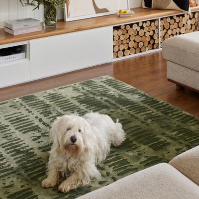 Show full view: Revival Rugs Shell Area Rug, Evergreen, Olive Green, 31 x 59-in slide 2 of 9