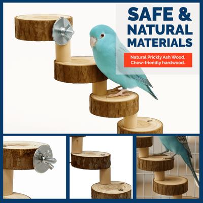 Show full view: KNUTI Bird Cage Wooden Ladder, Wood, Medium slide 5 of 8