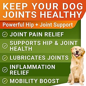 StrellaLab Glucosamine Chondroitin & Hip & Joint with Omegas 3 & Fish Oil Advanced Mobility Chew Supplement for Dogs, 120 count