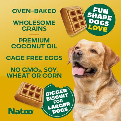 Show full view: Natoo BIG BITE Oats, Banana & Honey Crunchy Biscuit Dog Treats, 8-oz bag slide 6 of 11