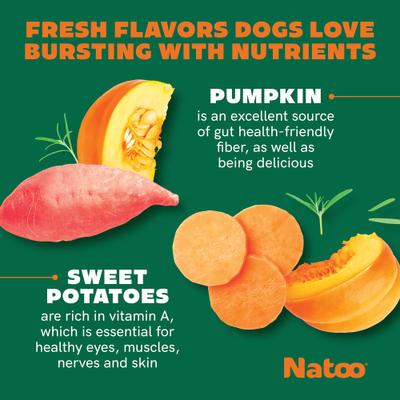 Show full view: Natoo Sweet Potato & Pumpkin Crunchy Biscuit Dog Treats, 8-oz bag slide 5 of 11