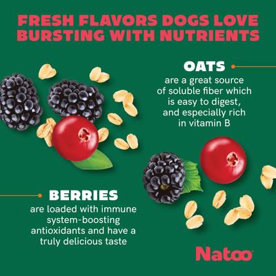 Show full view: Natoo Oats & Berry Crunchy Biscuit Dog Treats, 8-oz bag slide 5 of 11