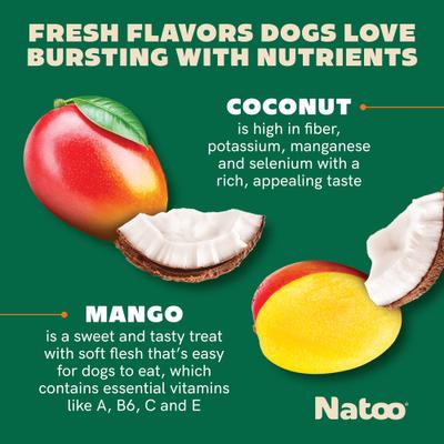Show full view: Natoo BIG BITE Coconut & Mango Crunchy Biscuit Dog Treats, 8-oz bag slide 5 of 11
