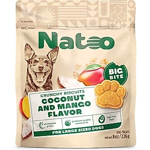 Natoo BIG BITE Coconut & Mango Crunchy Biscuit Dog Treats, 8-oz bag