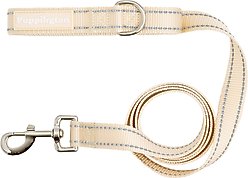 Puppington Reflective Padded Dog & Cat Leash, Vanilla Cream, 6-ft long, 1-in wide