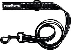 Puppington Reflective Padded Dog & Cat Leash, Onyx Black, 6-ft long, 1-in wide