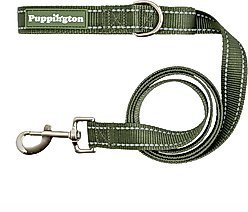 Puppington Reflective Padded Dog & Cat Leash, Basil Green, 6-ft long, 1-in wide