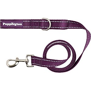 Puppington Reflective Padded Dog & Cat Leash, Plum Wine, 6-ft long, 1-in wide