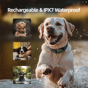 Hoistspark F830 Plus GPS Wireless Fence System Dog Tracker Collar, Medium/Large