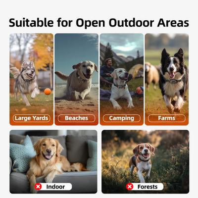 Show full view: Hoistspark F830 GPS Wireless Fence System Dog Training Collar, Medium/Large slide 9 of 10