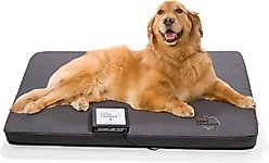 Assisi Animal Health Loop Lounge tPEMF Dog & Cat System, Large