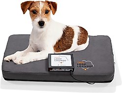 Assisi Animal Health Loop Lounge tPEMF Dog & Cat System, Small slide 2 of 5