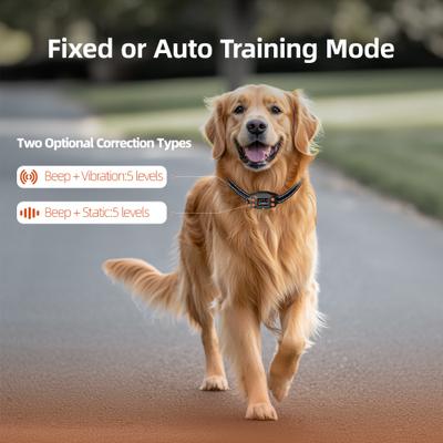 Show full view: Hoistspark F830 GPS Wireless Fence System Dog Training Collar, Medium/Large slide 4 of 10