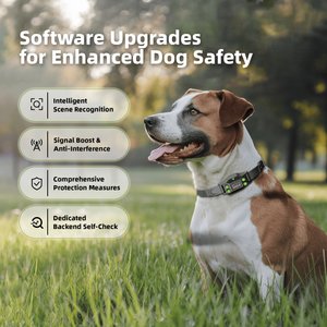 Hoistspark F830 Plus GPS Wireless Fence System Dog Tracker Collar, Medium/Large